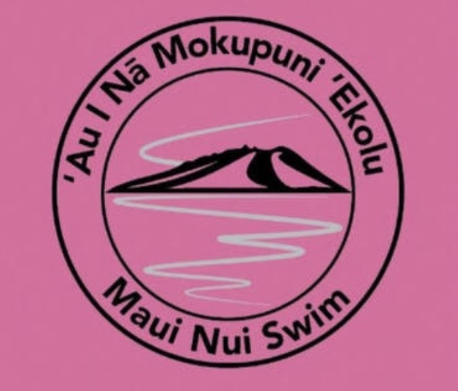MNS logo